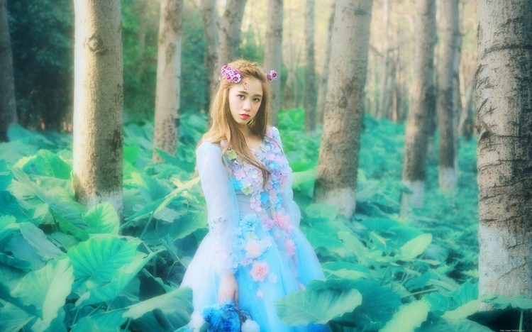 森林里的蓝精灵清新靓丽唯美可人