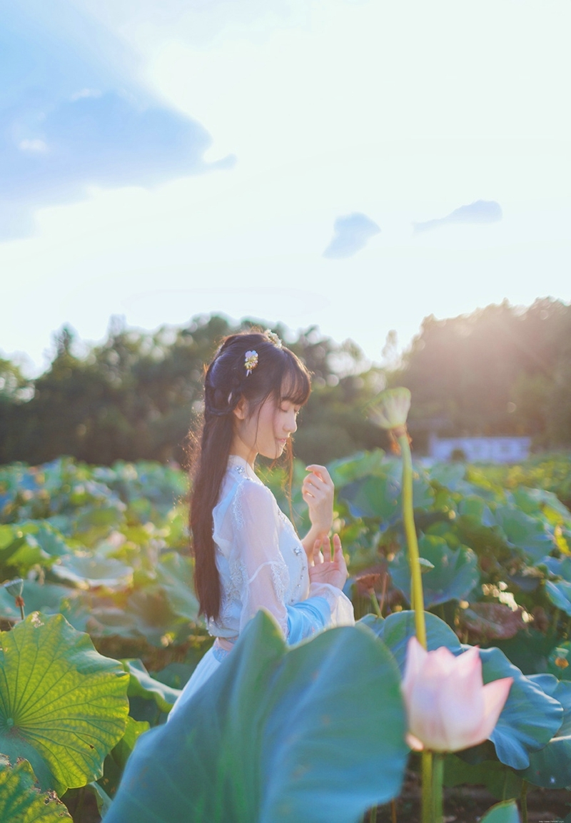荷叶池中的汉服妹子柔美文静