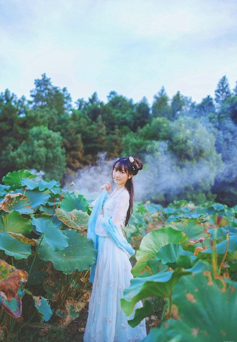 荷叶池中的汉服妹子柔美文静