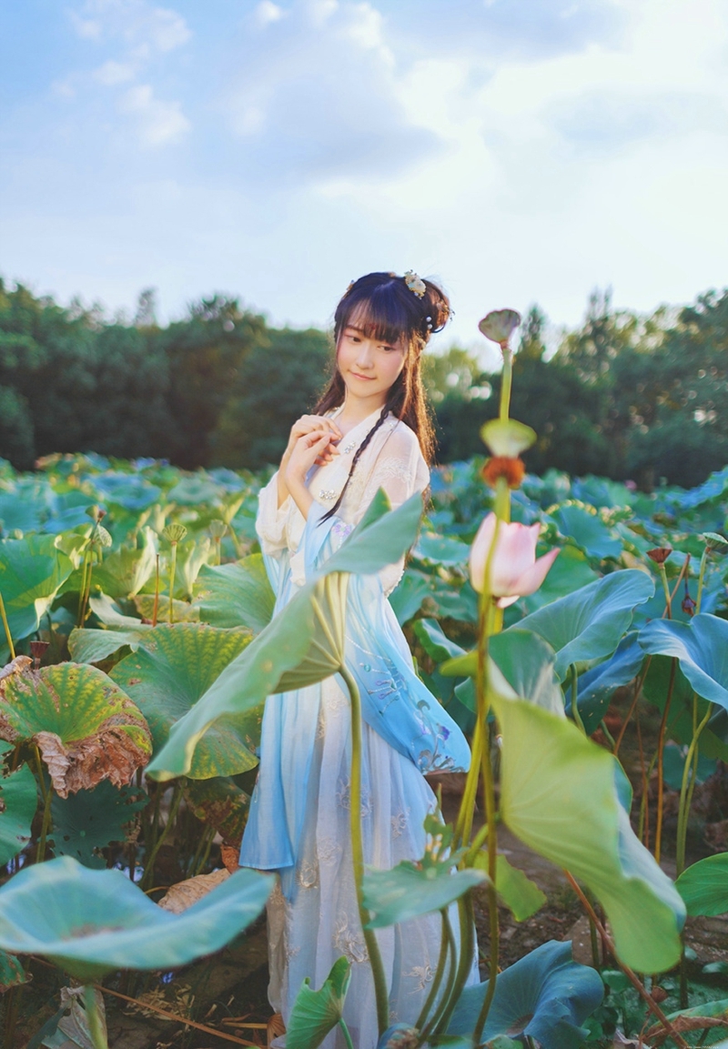 荷叶池中的汉服妹子柔美文静