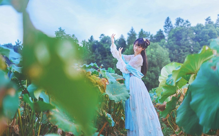 荷叶池中的汉服妹子柔美文静