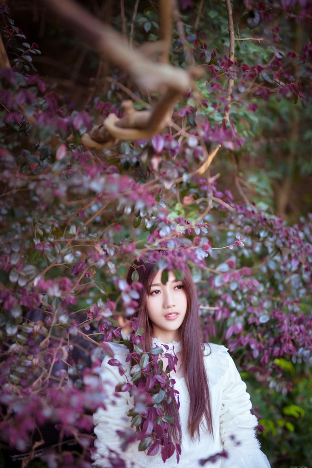 森林内的麋鹿美女白裙捧花唯美意境写真