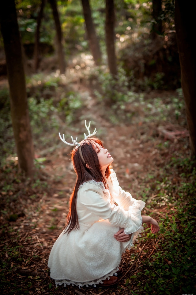 森林内的麋鹿美女白裙捧花唯美意境写真