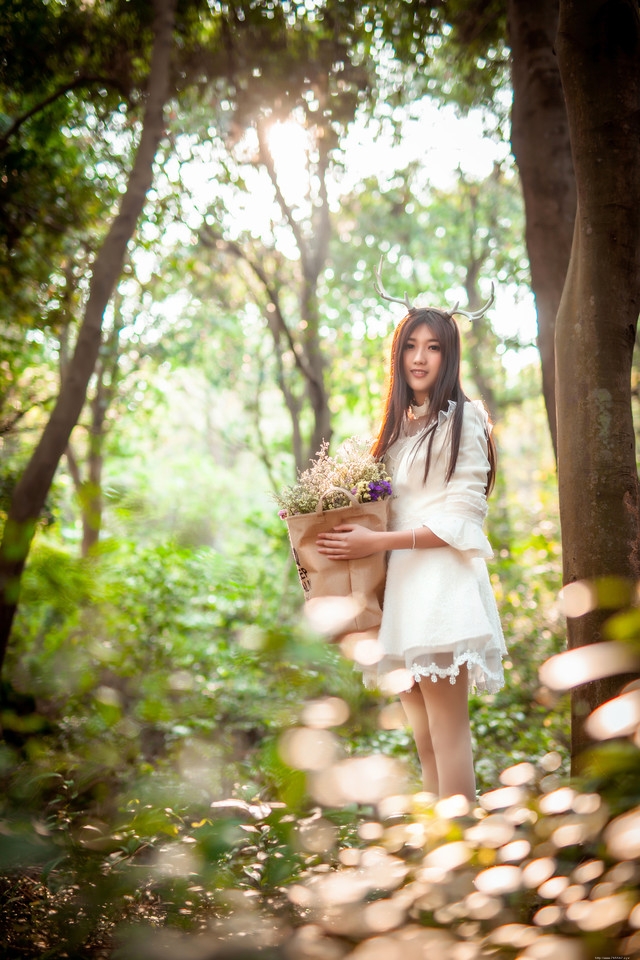 森林内的麋鹿美女白裙捧花唯美意境写真
