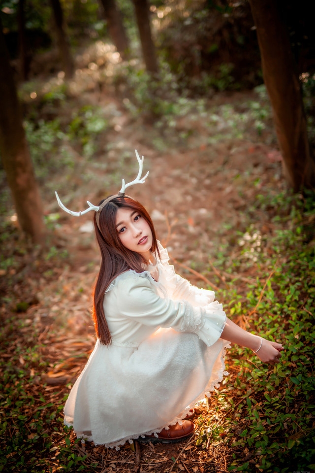 森林内的麋鹿美女白裙捧花唯美意境写真