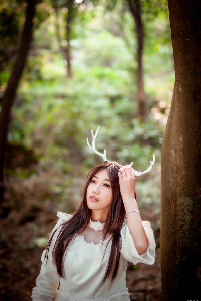 森林内的麋鹿美女白裙捧花唯美意境写真