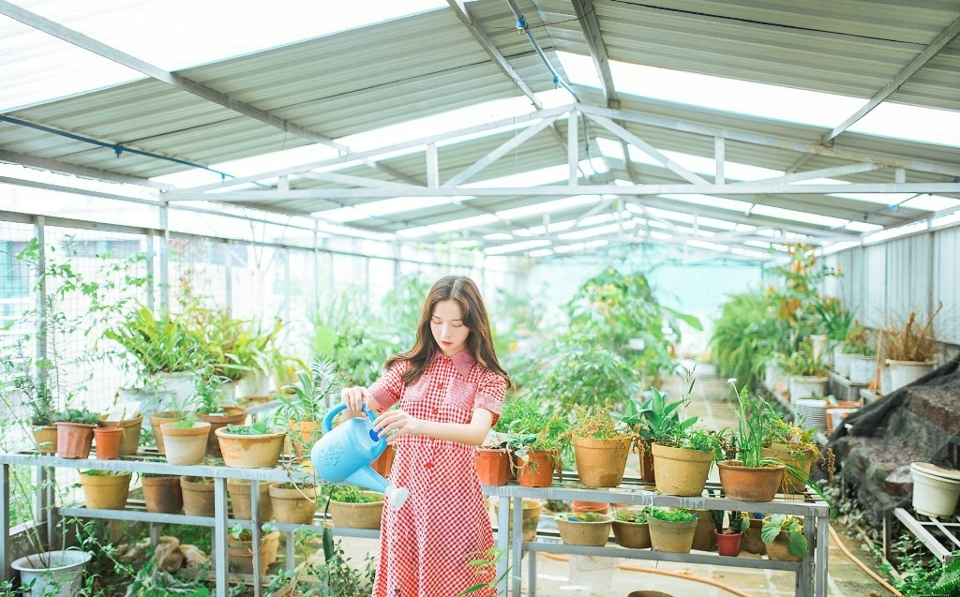 温室内的花草美女高颜值靓丽写真