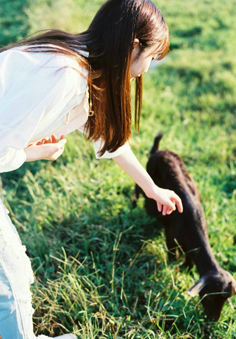 牧场内的清新白衣美女纯净可人