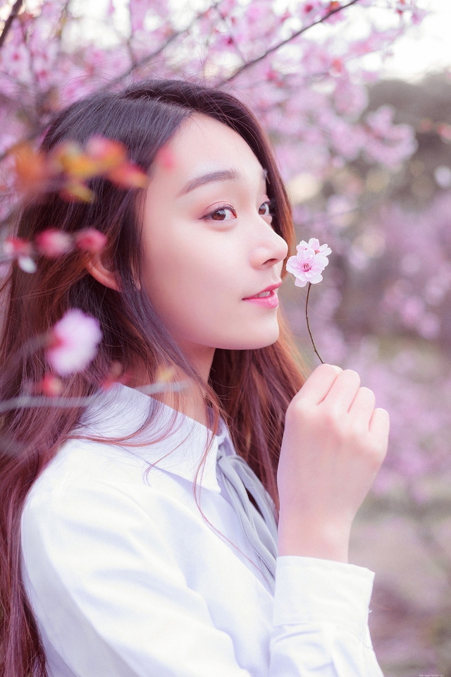 樱花树下花香美女白衬衫温婉清纯让人恋恋不忘
