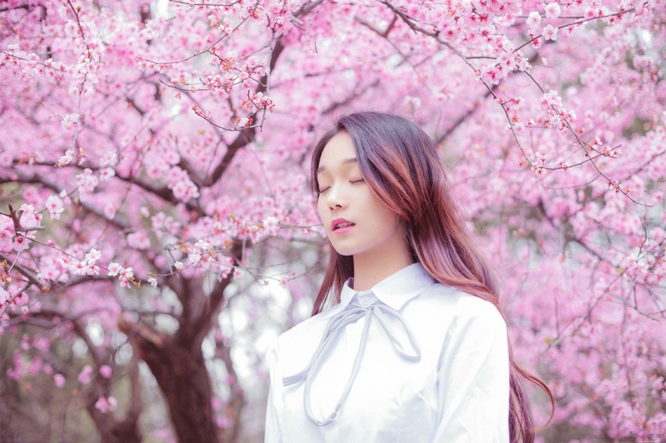 樱花树下花香美女白衬衫温婉清纯让人恋恋不忘