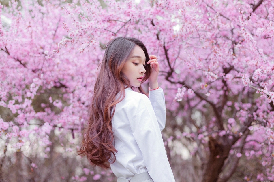 樱花树下花香美女白衬衫温婉清纯让人恋恋不忘