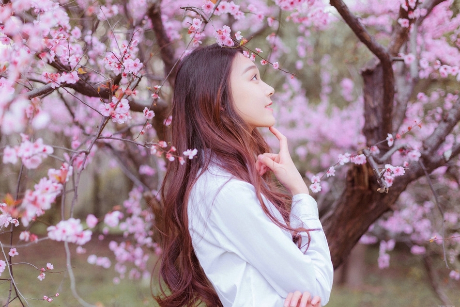 樱花树下花香美女白衬衫温婉清纯让人恋恋不忘