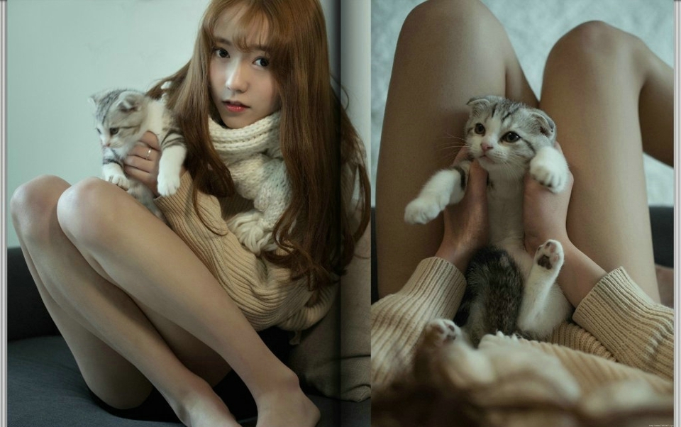 私房温暖毛衣少女与猫咪玩耍相伴