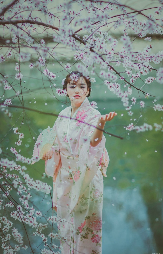 樱花和服美女随手拿扇子唯美浪漫写真