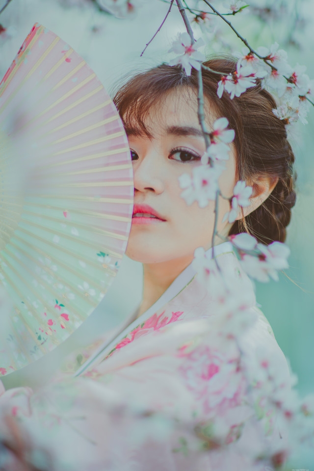 樱花和服美女随手拿扇子唯美浪漫写真