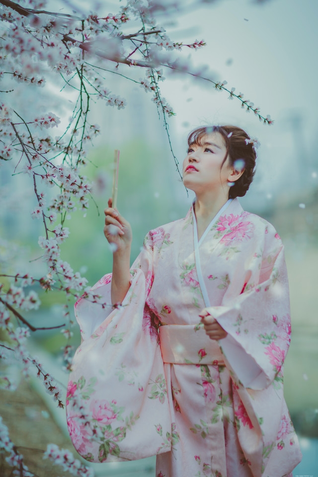 樱花和服美女随手拿扇子唯美浪漫写真