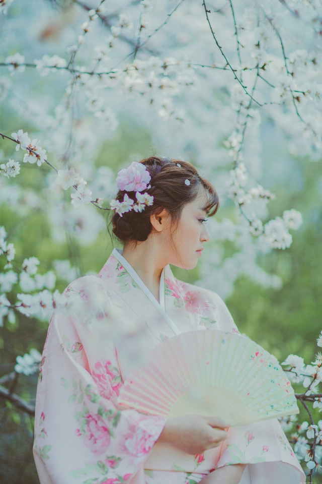 樱花和服美女随手拿扇子唯美浪漫写真
