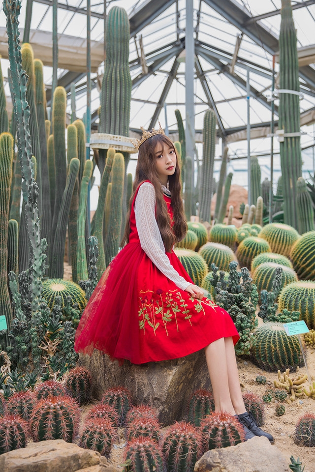仙人掌植物园内皇冠美女艳丽红裙美艳动人