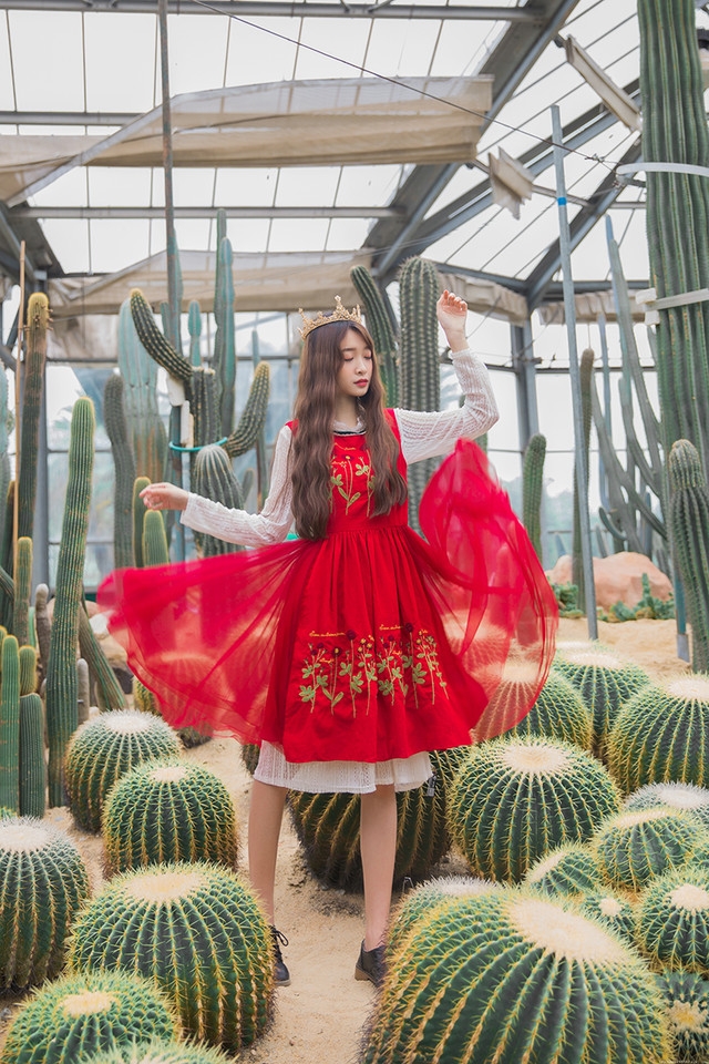 仙人掌植物园内皇冠美女艳丽红裙美艳动人