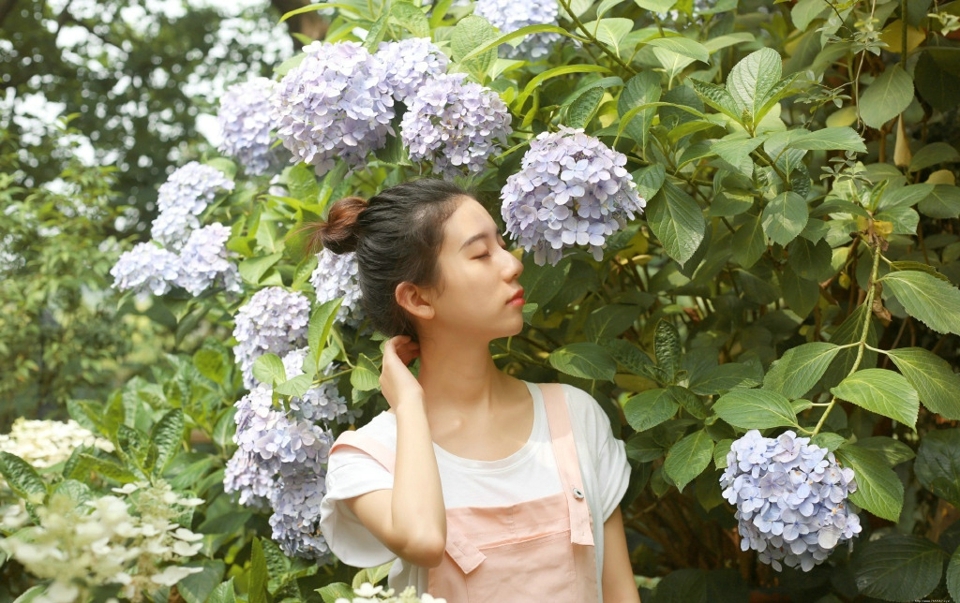 丸子头清纯少女靓丽色彩养眼写真