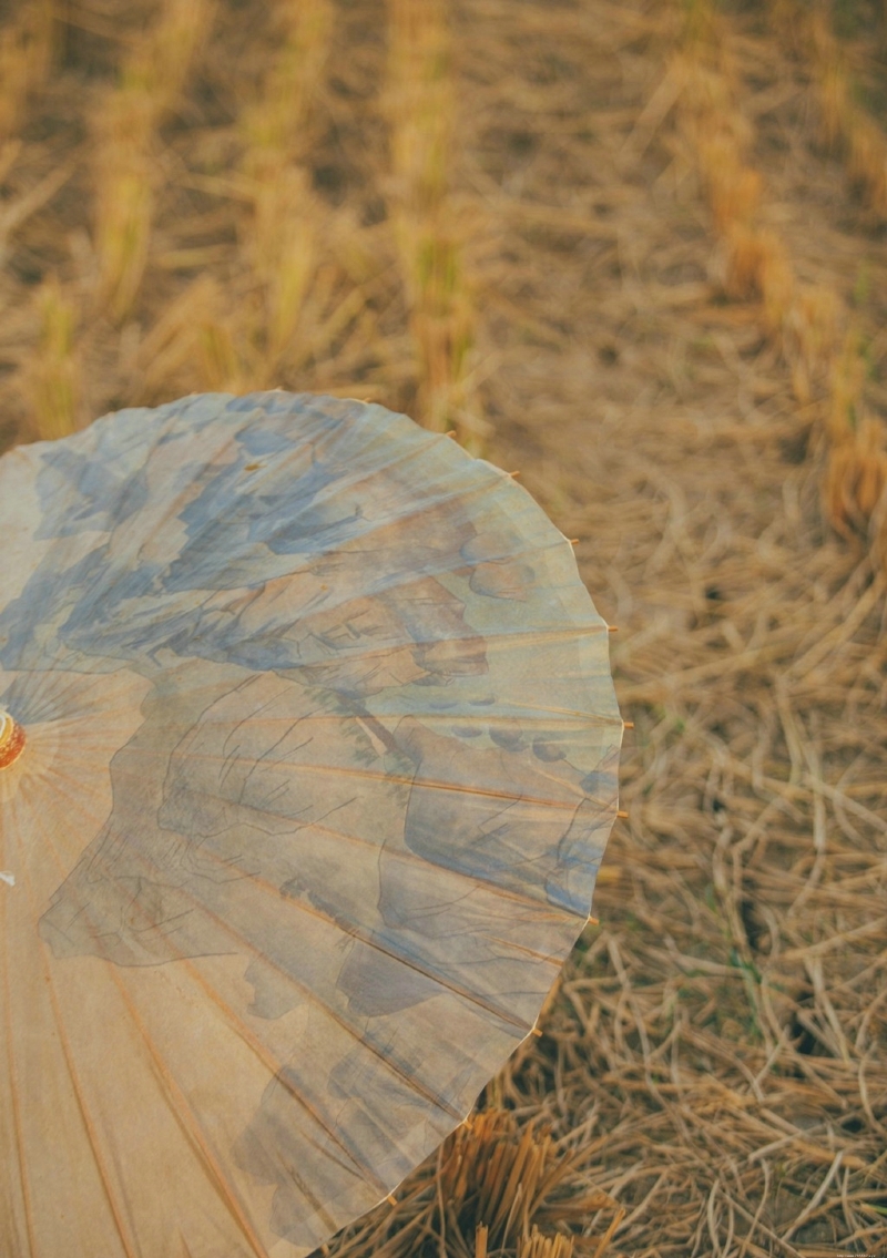 古装汉服美女虎娃可爱恬静写真