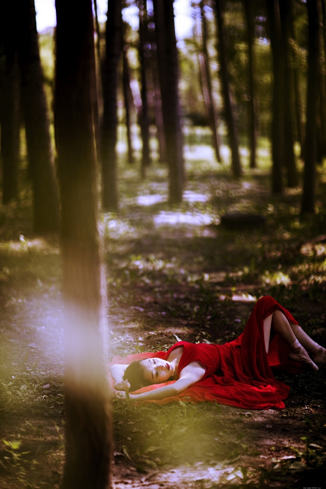 深林内如痴如醉跳舞的红裙美女展示好身材