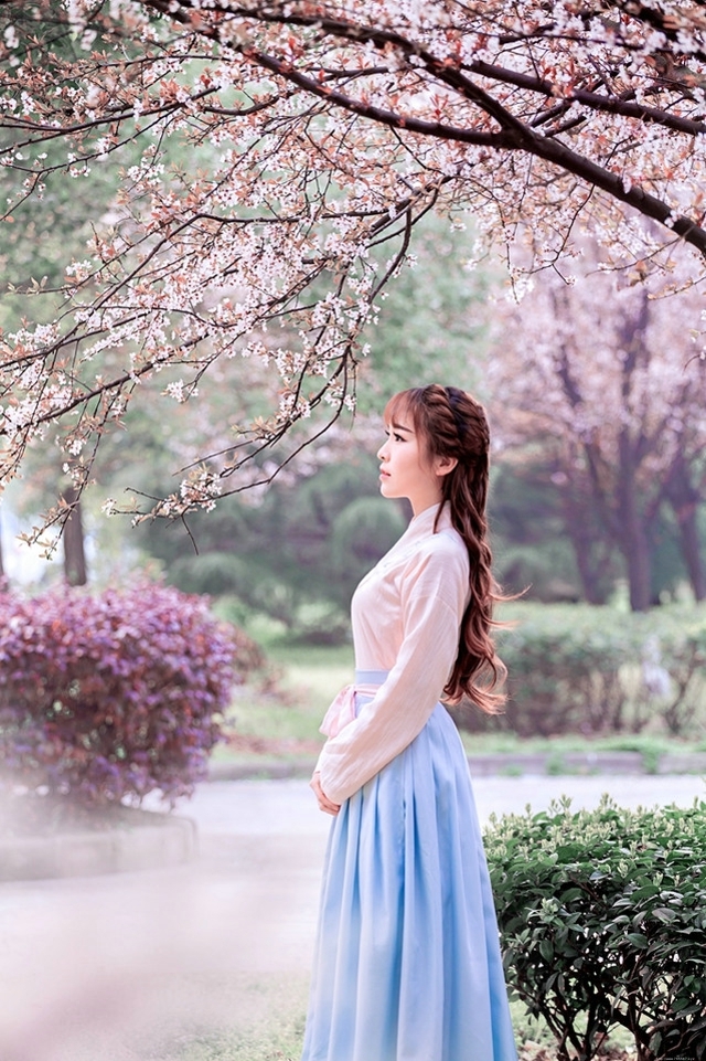 花树下的汉服美女清纯靓丽如花似玉