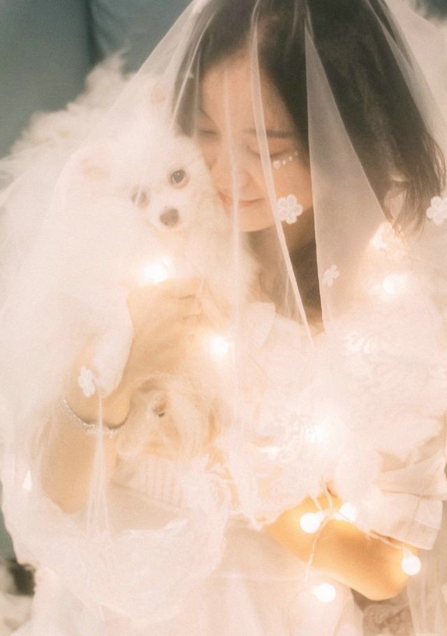 温婉灯光下的白纱女神花朵白嫩柔美