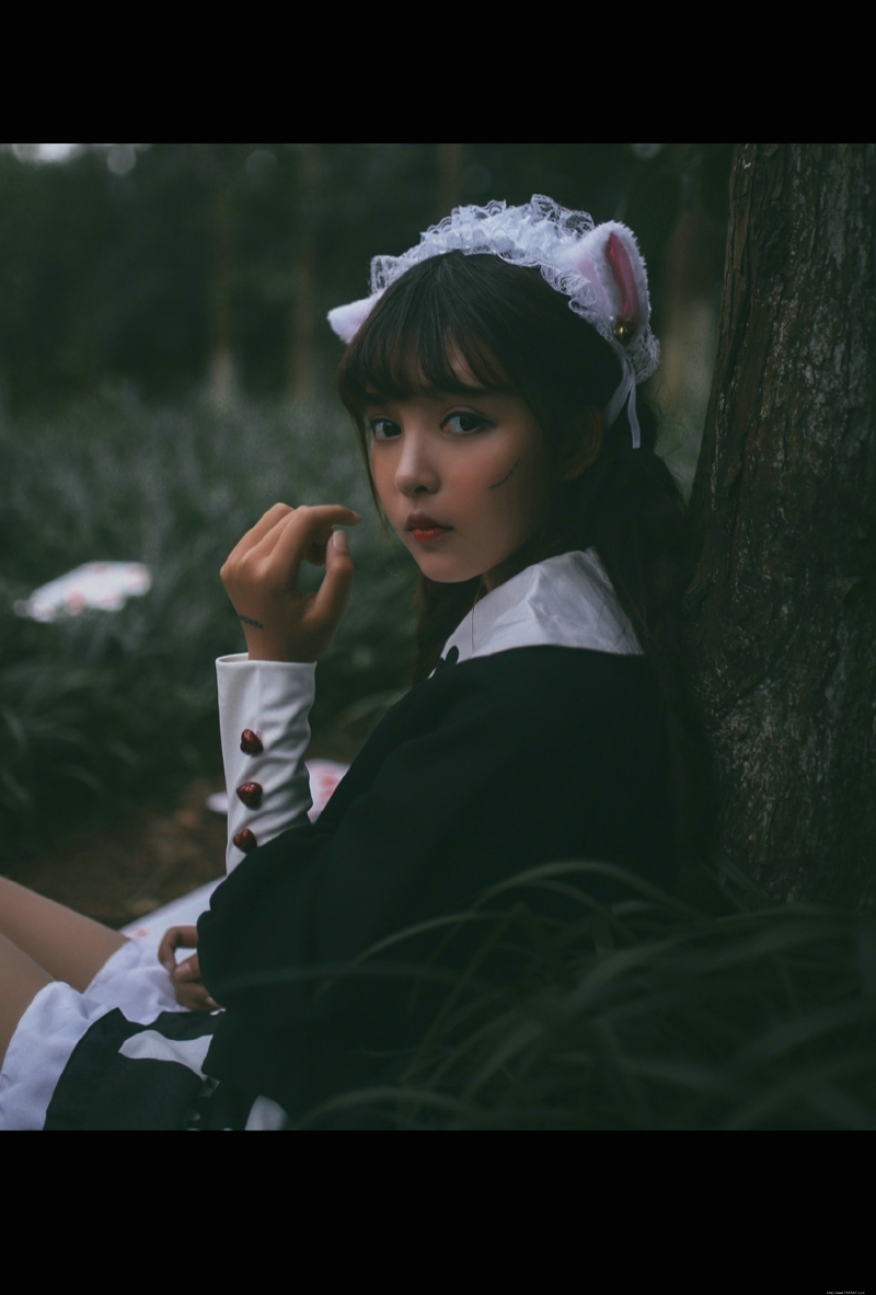 黑暗森林内的猫咪少女童话故事少女心满满