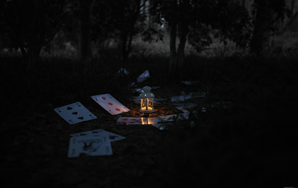 黑暗森林内的猫咪少女童话故事少女心满满