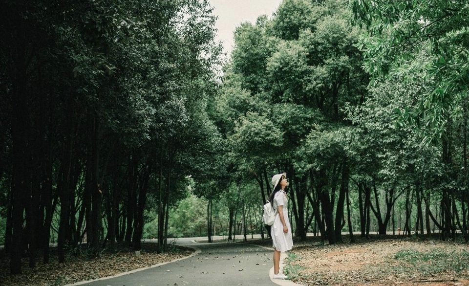 森林公园内的白裙草帽背包少女清爽怡人