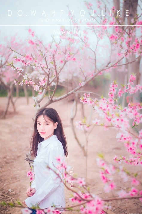 樱花下白衬衫女孩清新粉嫩唯美写真