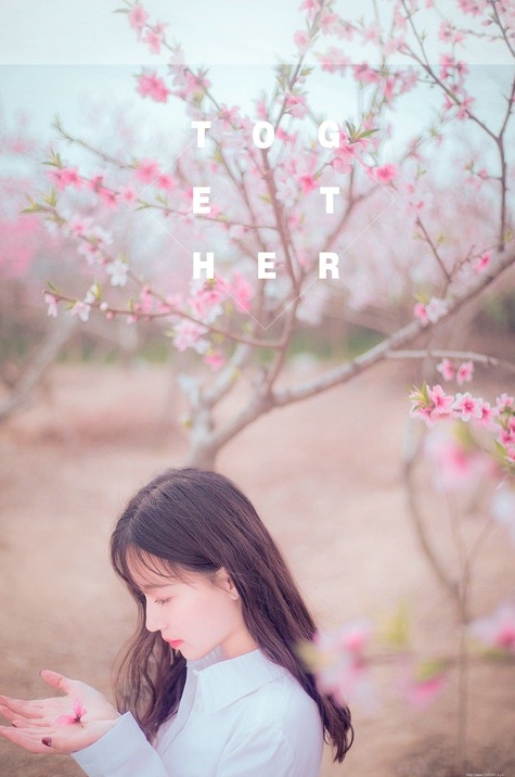 樱花下白衬衫女孩清新粉嫩唯美写真