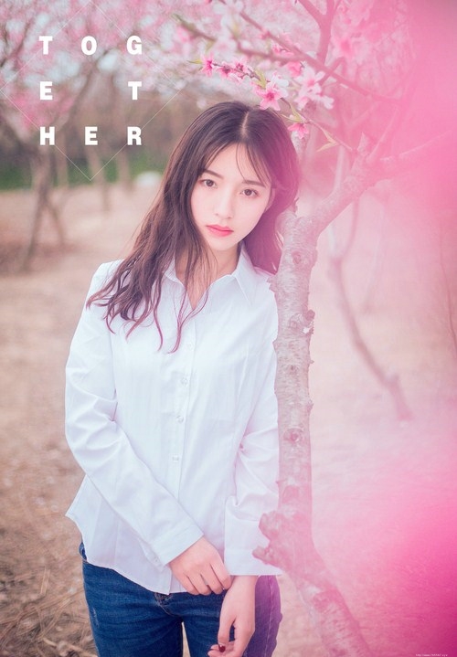 樱花下白衬衫女孩清新粉嫩唯美写真