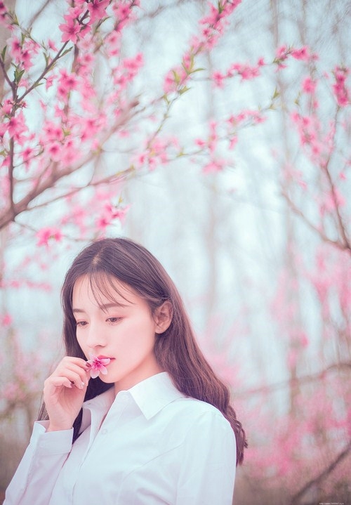 樱花下白衬衫女孩清新粉嫩唯美写真