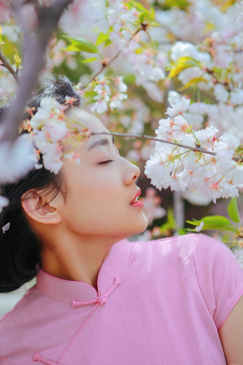 粉嫩民国风美女樱花海洋中养眼迷人