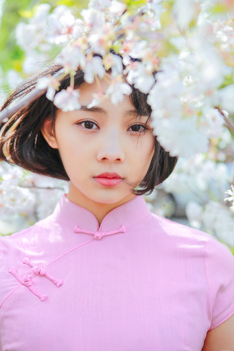 粉嫩民国风美女樱花海洋中养眼迷人