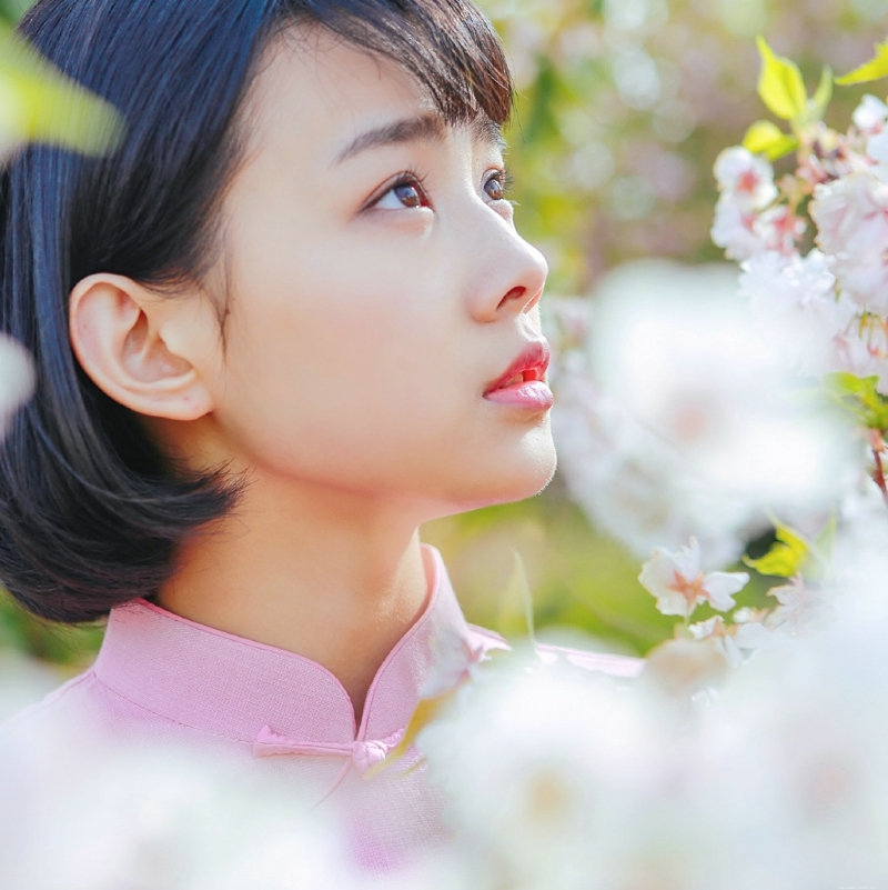 粉嫩民国风美女樱花海洋中养眼迷人