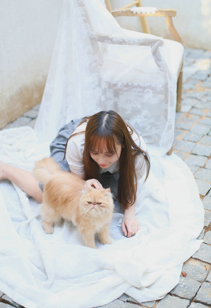 长发连衣裙妹子与猫咪嬉戏玩耍