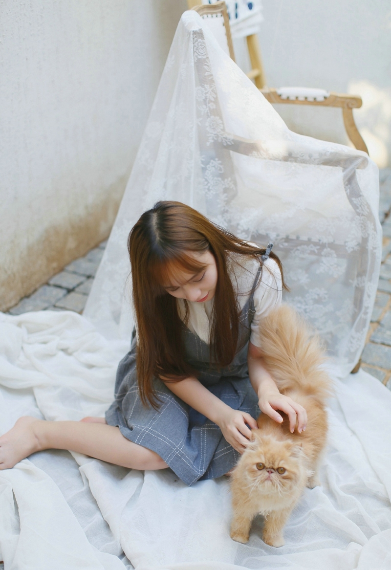 长发连衣裙妹子与猫咪嬉戏玩耍