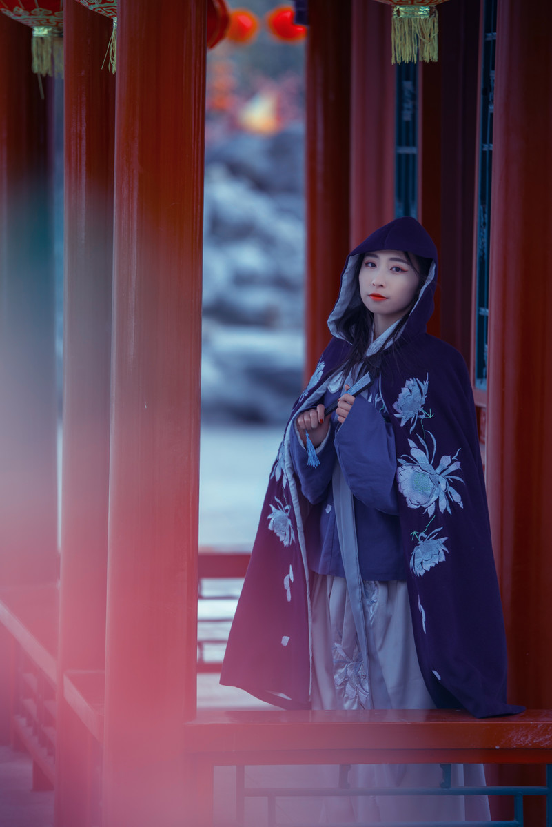 古风美人唯美养眼汉服图片