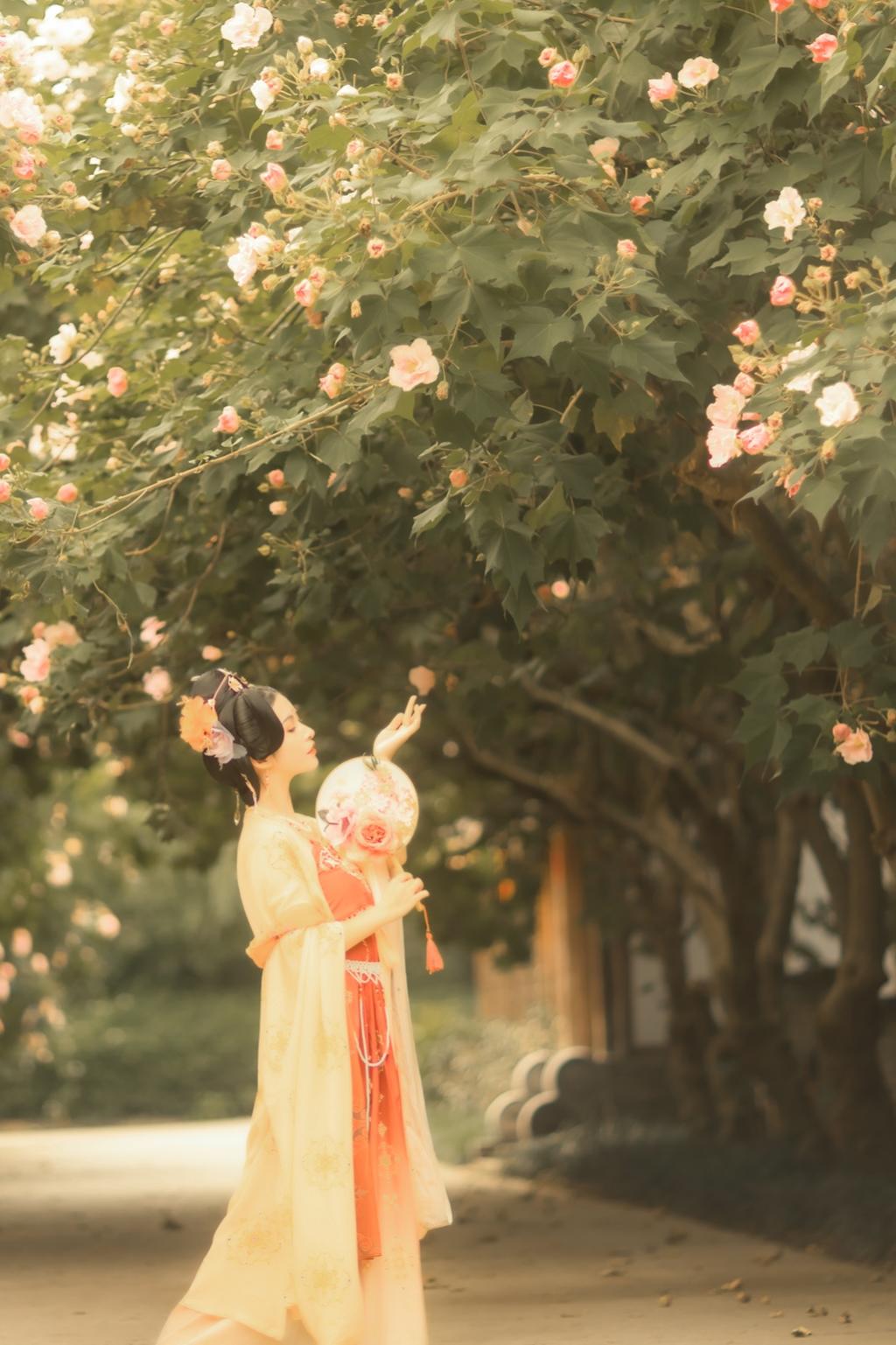 国色天香古典美女唯美古风摄影