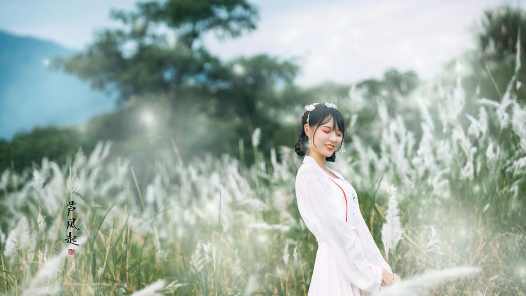 白衣古装美女芦苇荡小清新写真