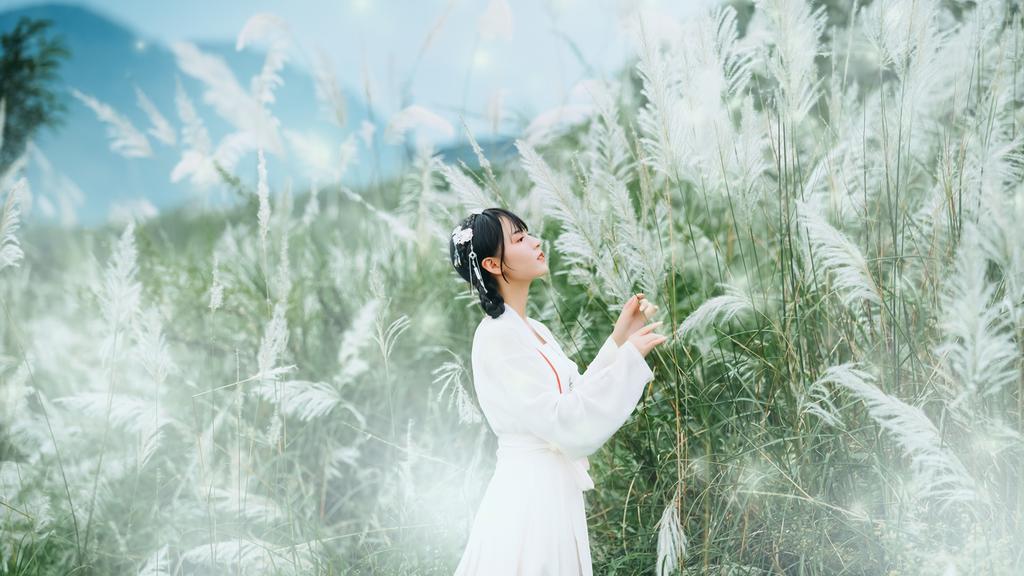 白衣古装美女芦苇荡小清新写真