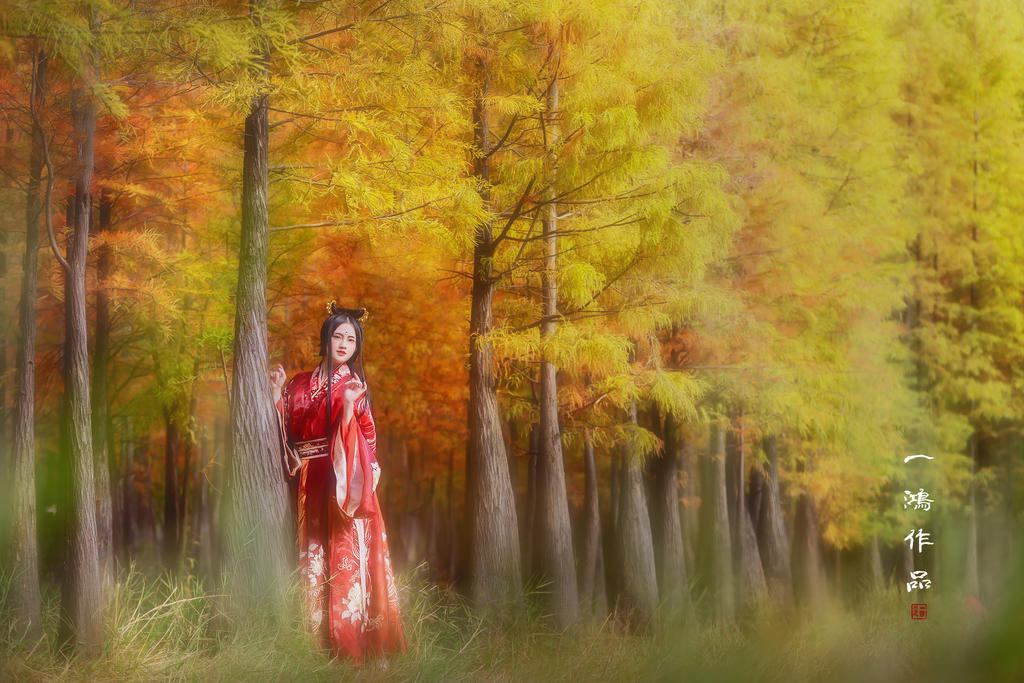 红装美女枫叶林间翩翩起舞写真