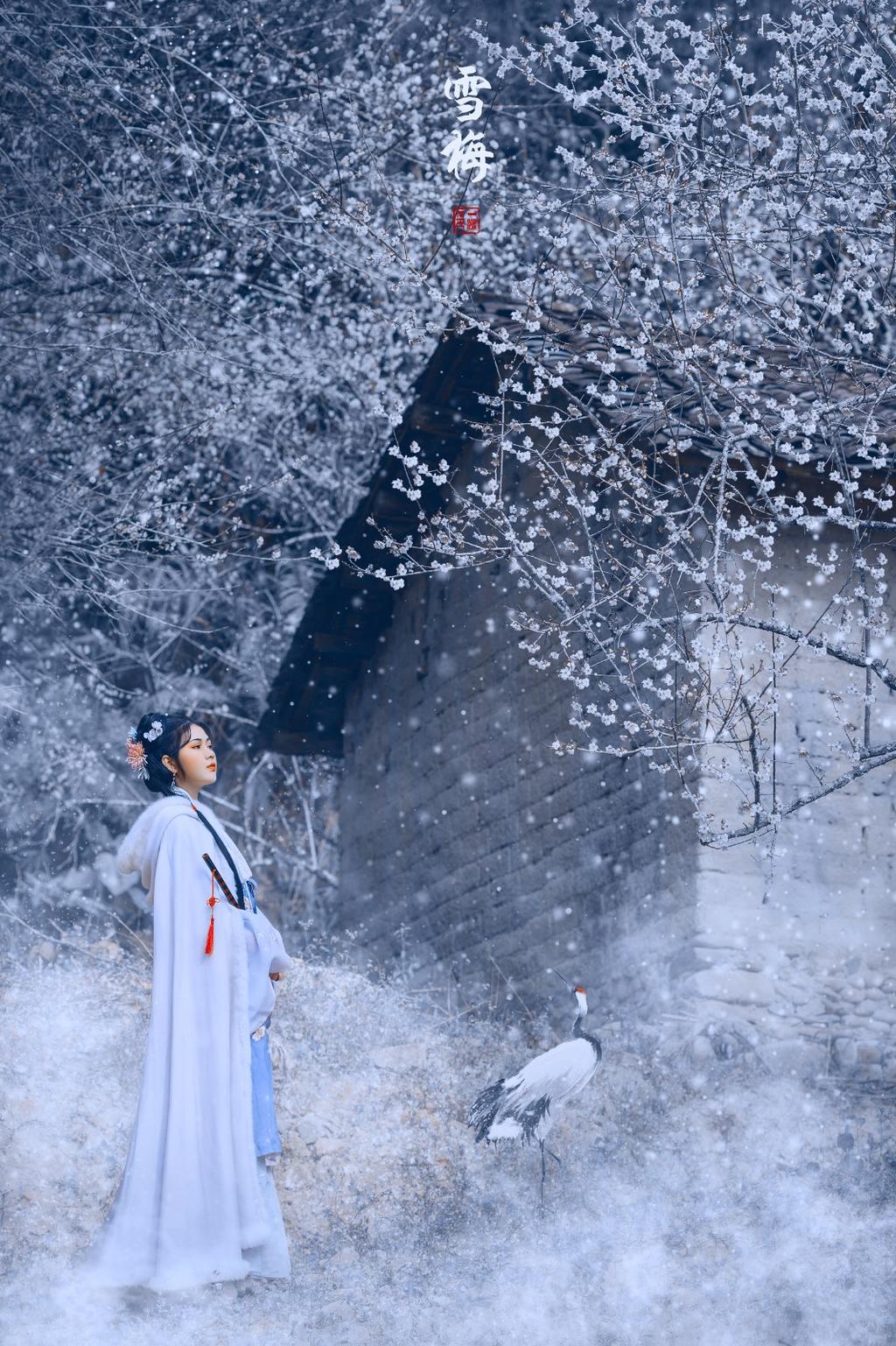 白衣古装美女漫天白雪唯美写真