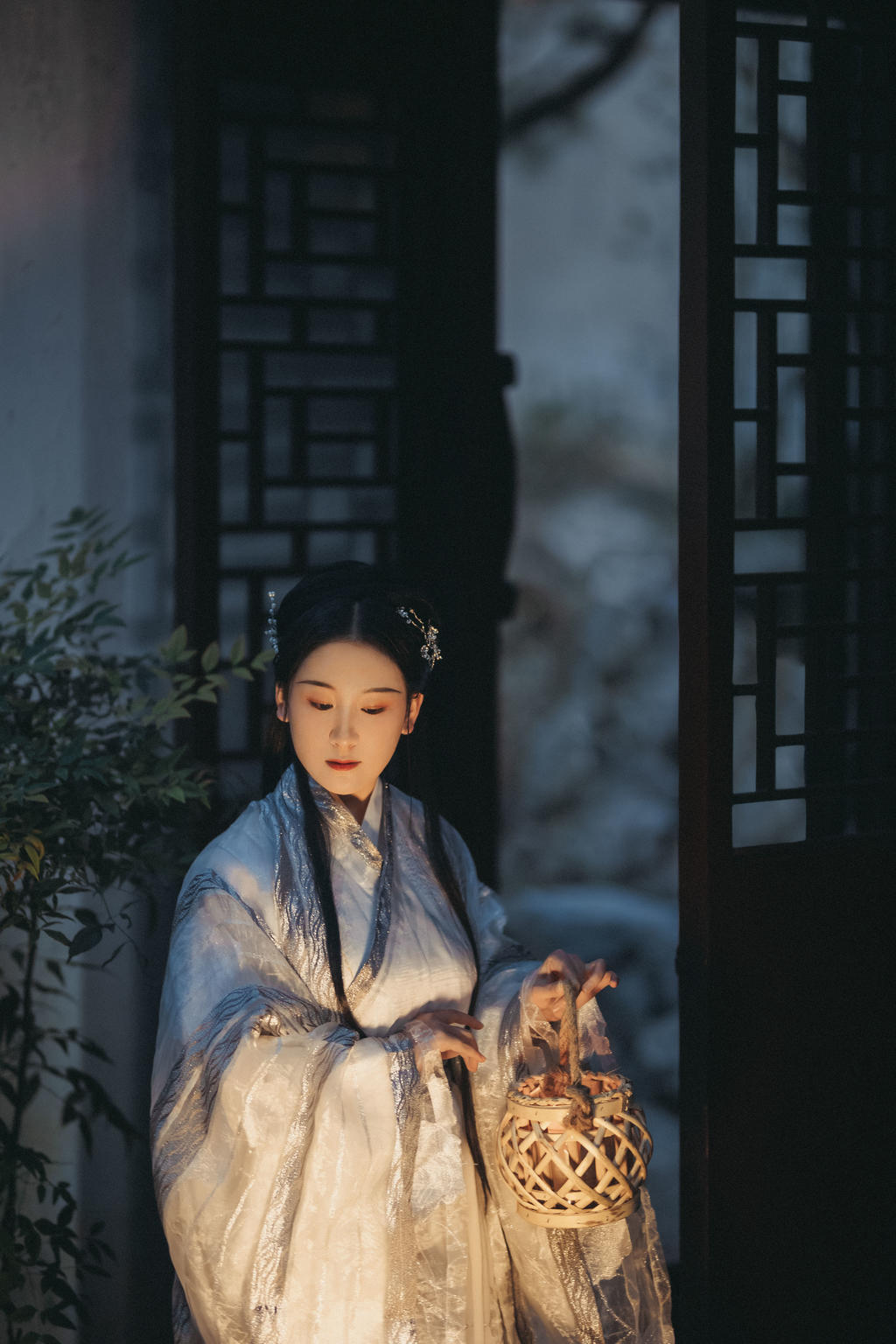 古装美女精致侧颜典雅气质套图