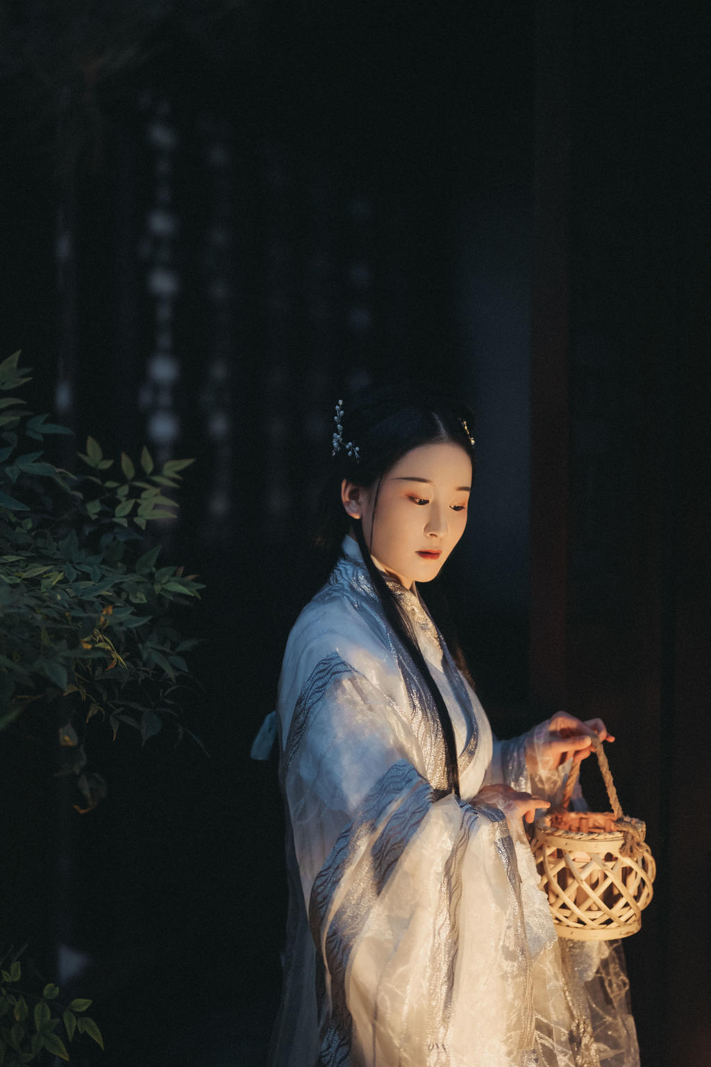 古装美女精致侧颜典雅气质套图