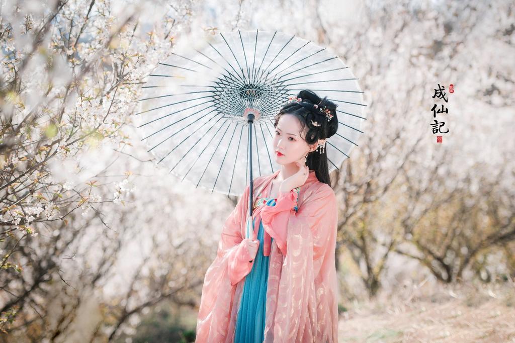 古装美女手撑纸伞漫步花野私拍