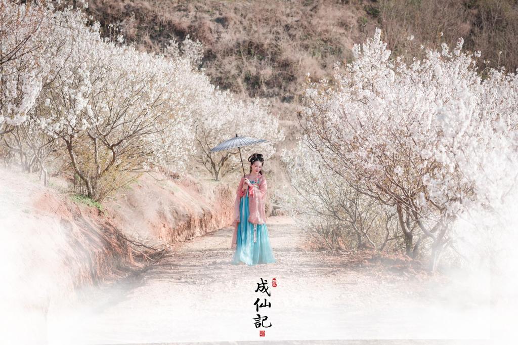 古装美女手撑纸伞漫步花野私拍